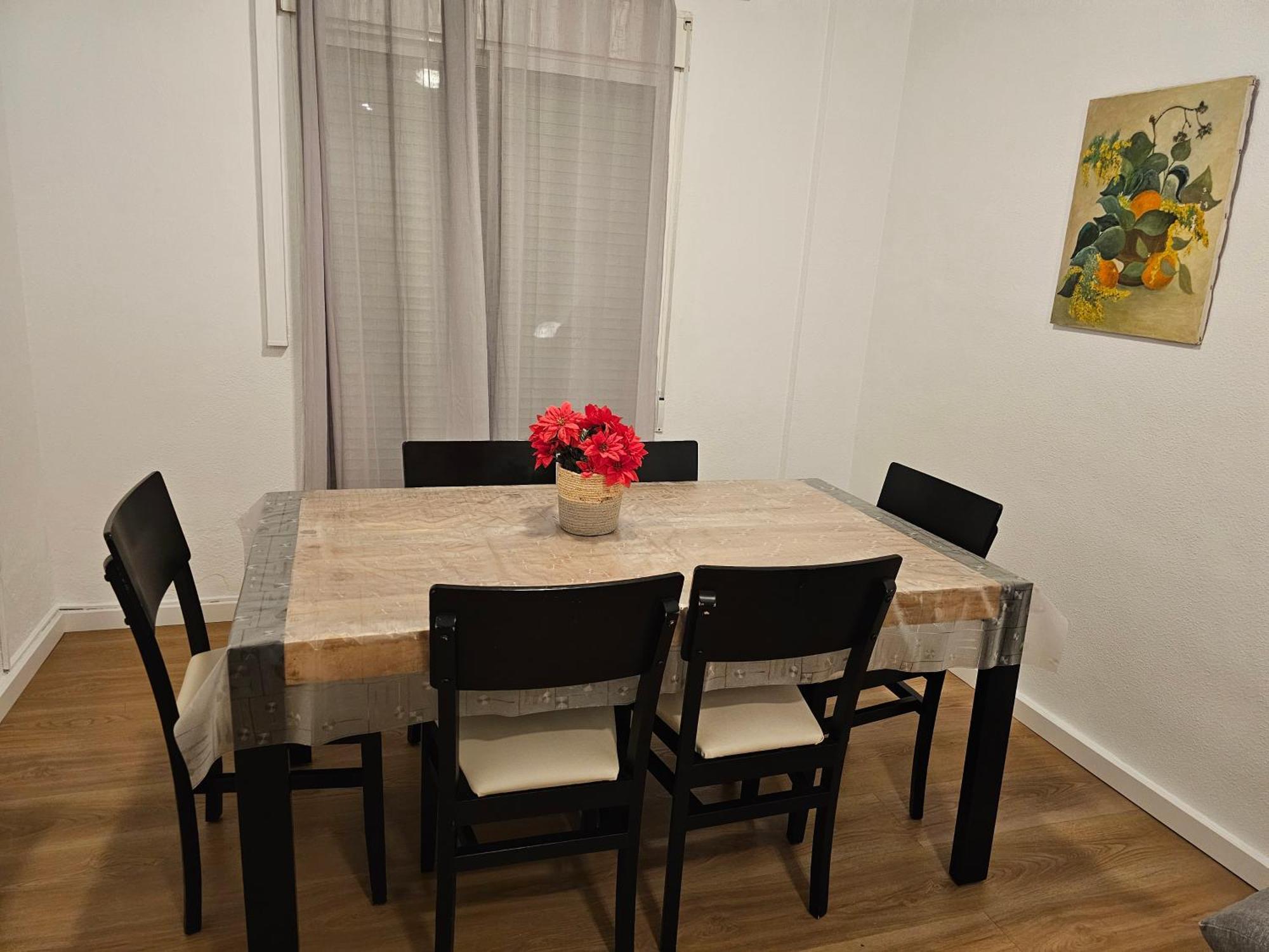 Apartamentos Plaza Alicante Extérieur photo